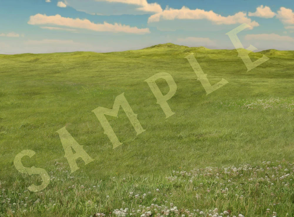 OverWorld Battlebacks - Image 4